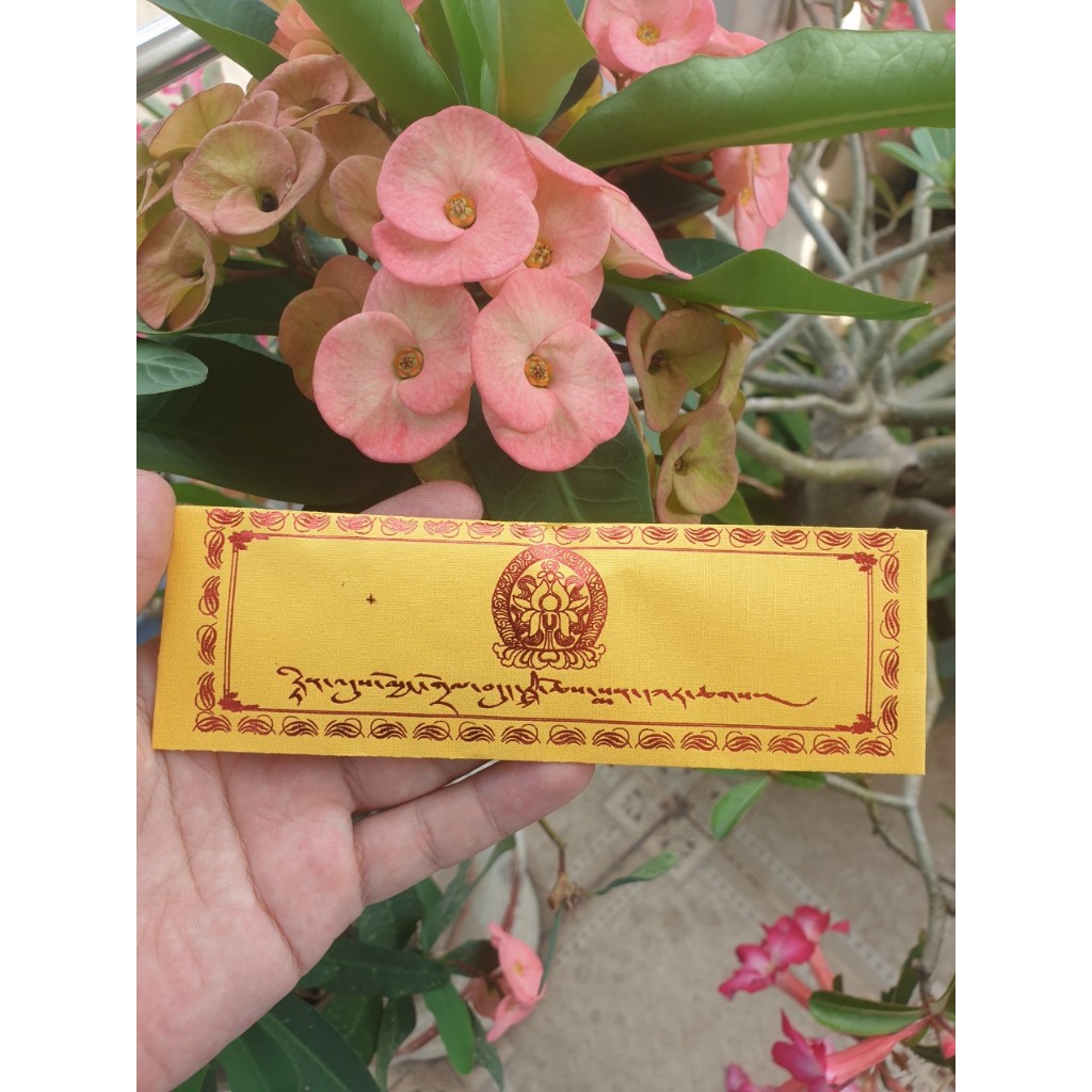 French Pharmaceutical Medicine Guru Rinpoche Eight Tri Minh Protection ...
