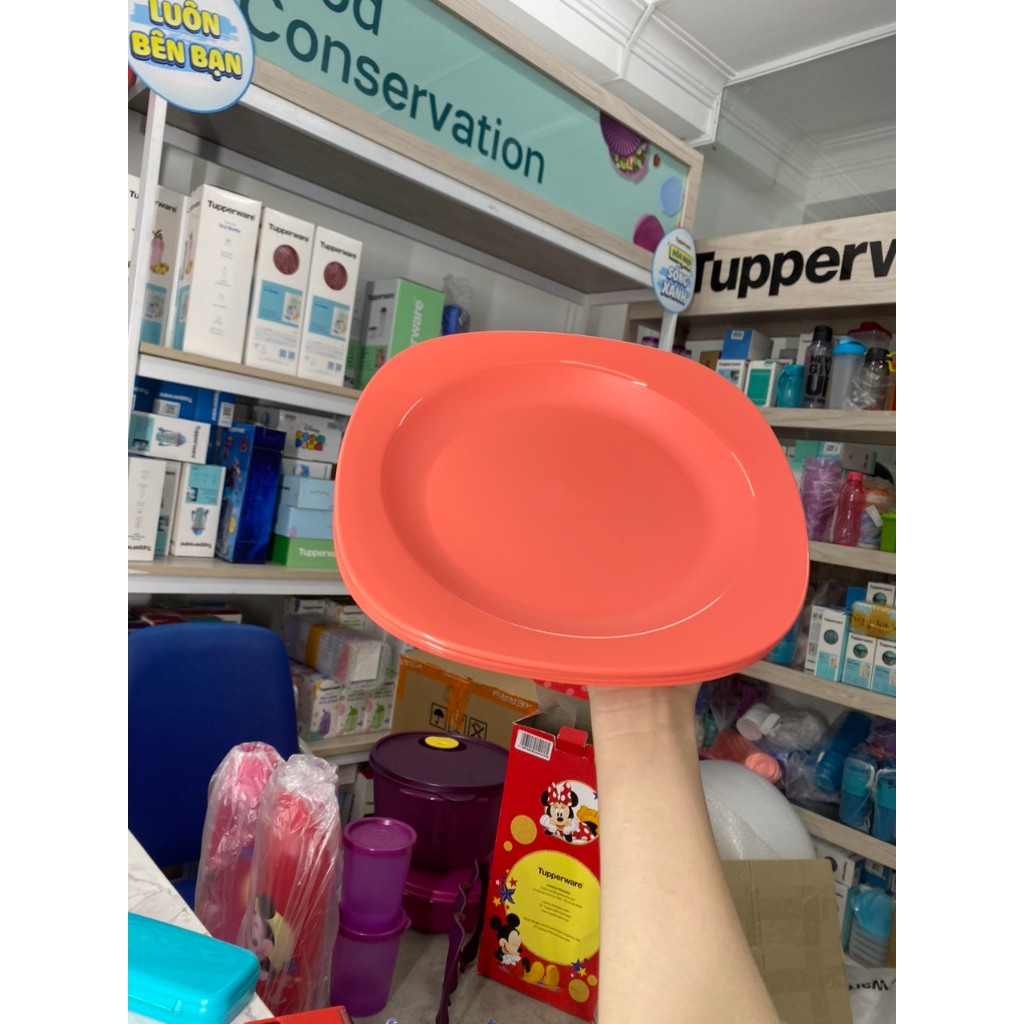 Tupperware 0-110 degree heat resistant plate, microwaveable, made in ...