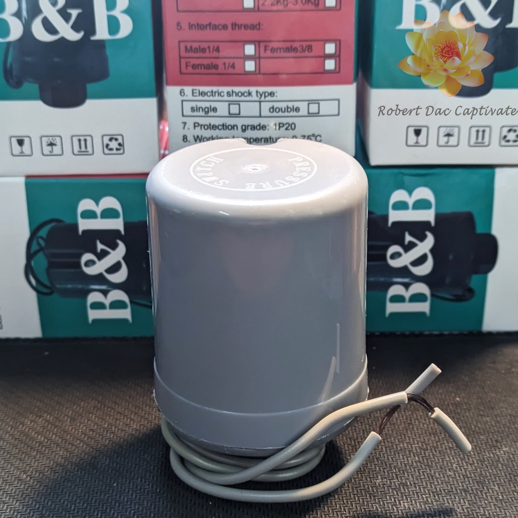 Water Pressure Relay (Pressure Switch, Water Pressure Switch) Shopee