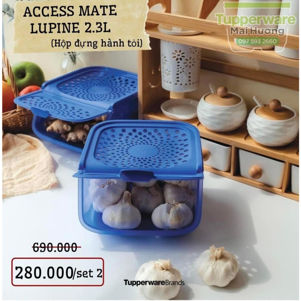 Containers Of Onion Garlic, Vegetables Of Supper Shopee Philippines