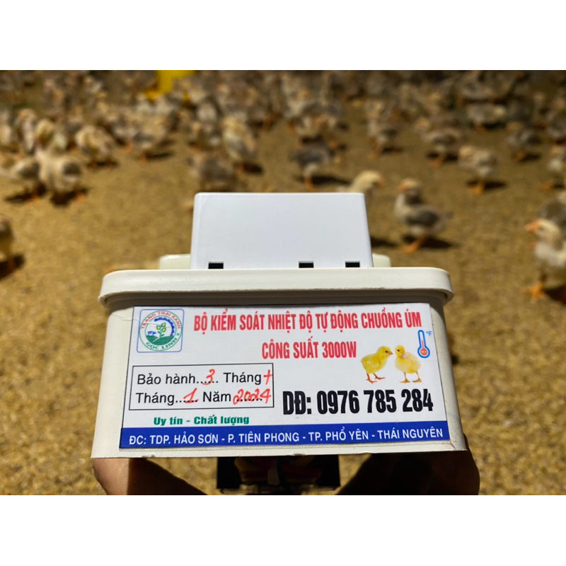 Automatic brooder for chickens and ducks, load capacity 3000w. Accurate ...