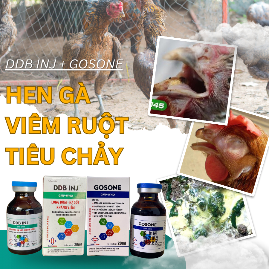 Chicken With Asthma, Diarrhea, Pneumonia, Welding Trade, Hemorrhages ...