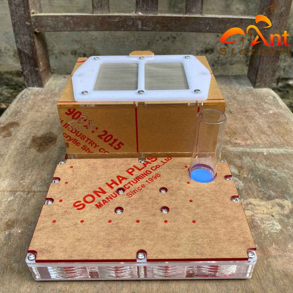 Ant Tank, ant cage, ant house, ant nest, ant cage, Formicarium - A24 ...