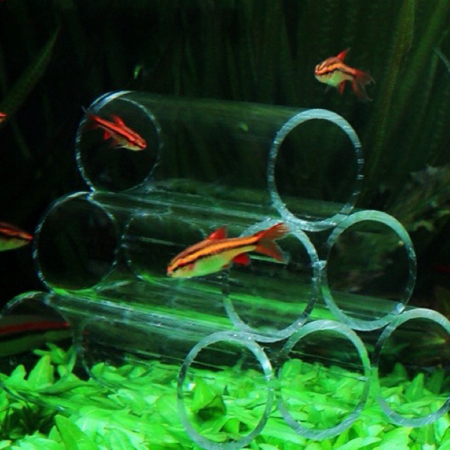 Garnelen Zuchtröhre Acryl - Kristall Versteck Für Aquarium Garnelen