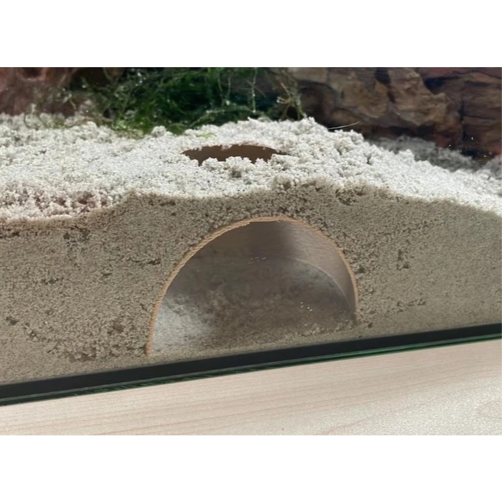 Fish cave under aquatic substrate V1 votri3d V21 Shopee Philippines