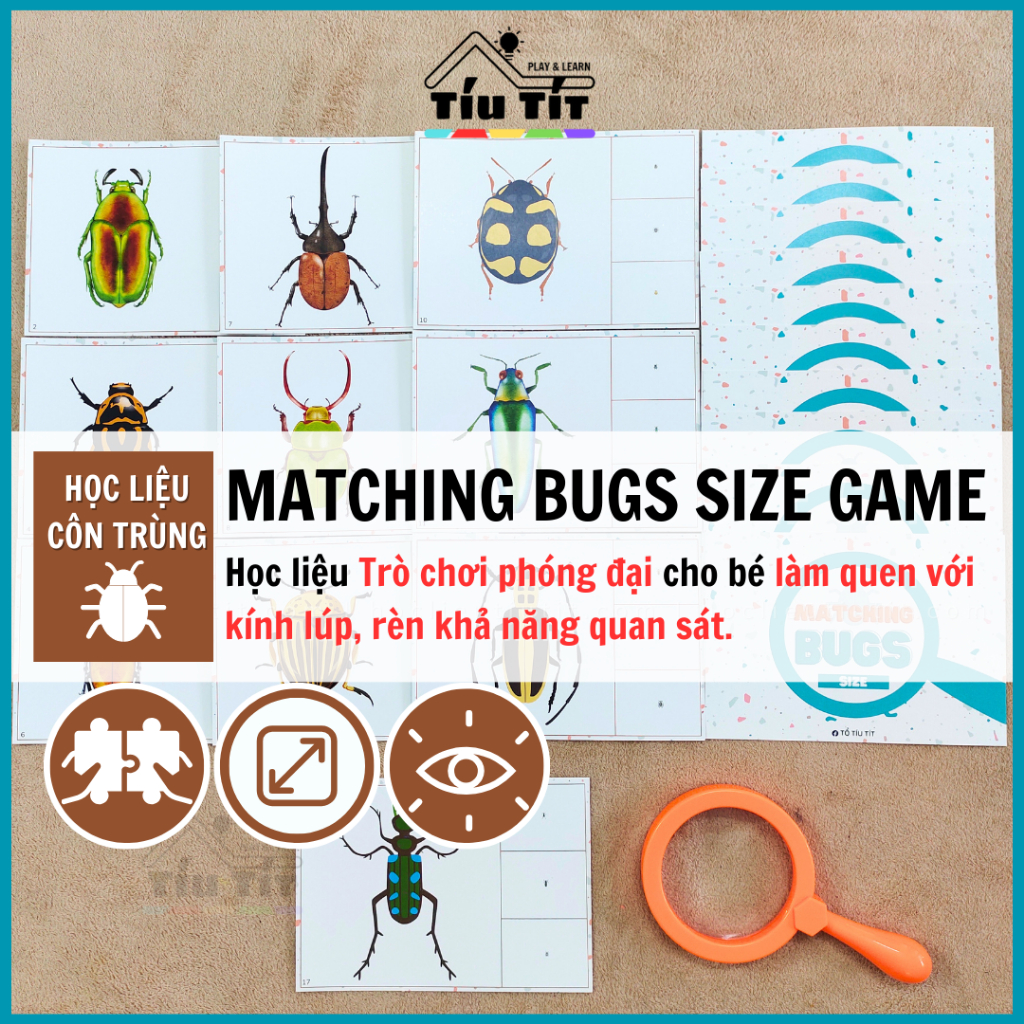 Learning Insect Materials - Magnifying Game For Children To Get Used To ...