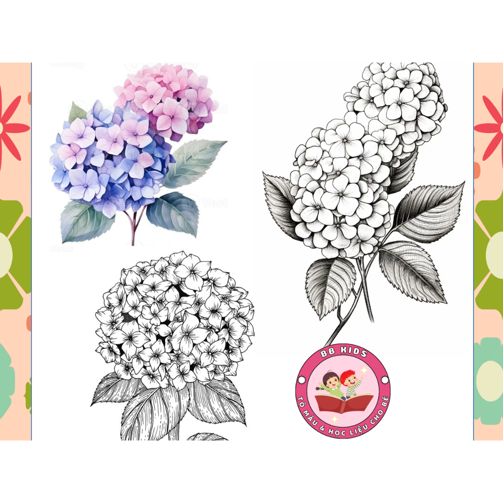 Hydrangea line art Coloring Painting, Drawing Hydrangeas 10 Pictures A5 ...