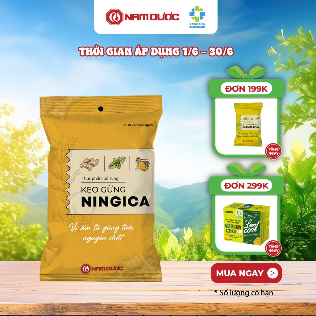 Ningica Ginger Candy, Lozenge To Help Relieve Sore Throat, Reduce