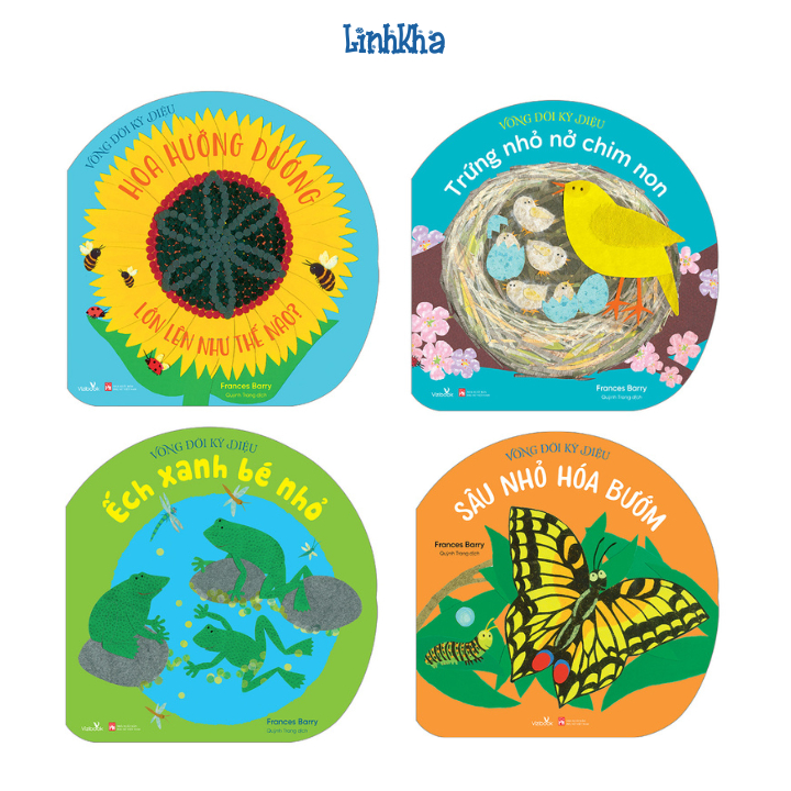 Magical Life Cycle Book Sunflowers Little Green Frog Little