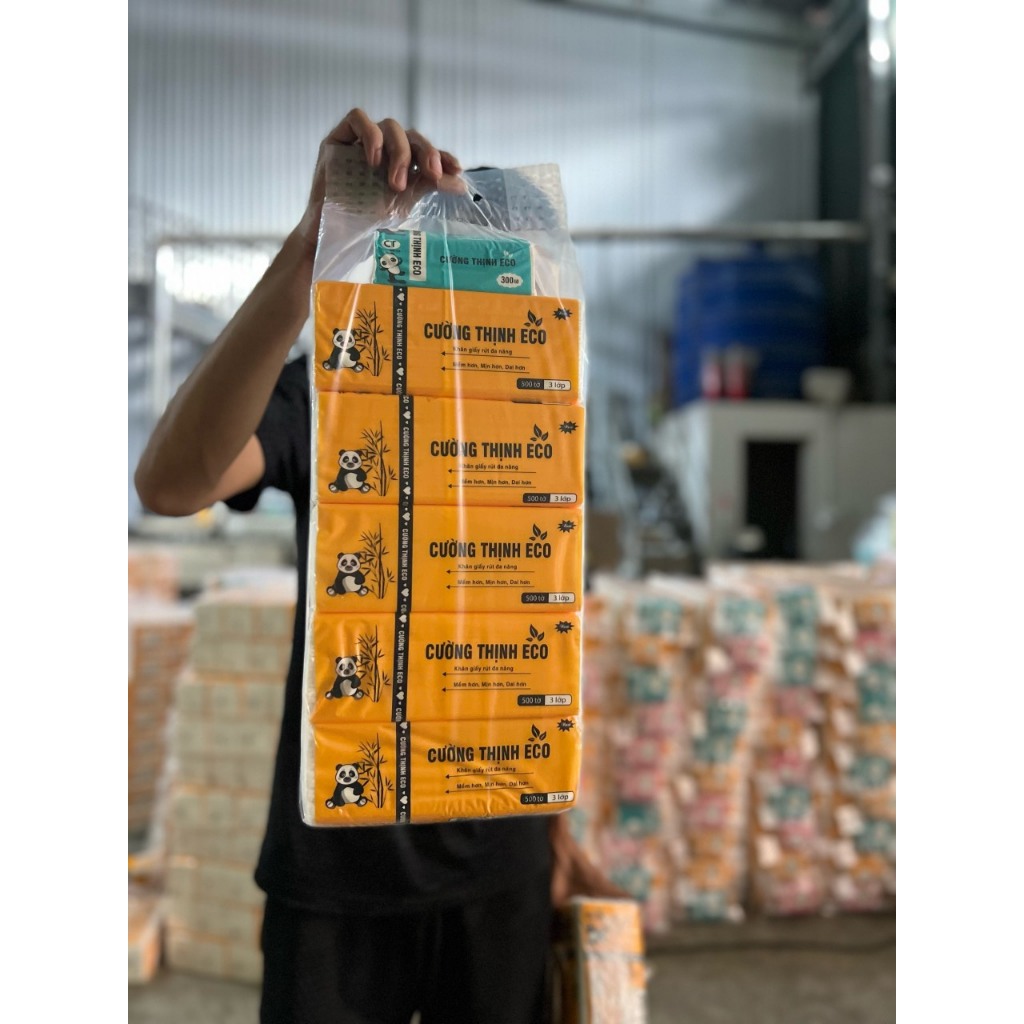 Set OF 5 CUONG THINH ECO PANDAG PAPER BAGS GET 1 PACK FREE | Shopee ...