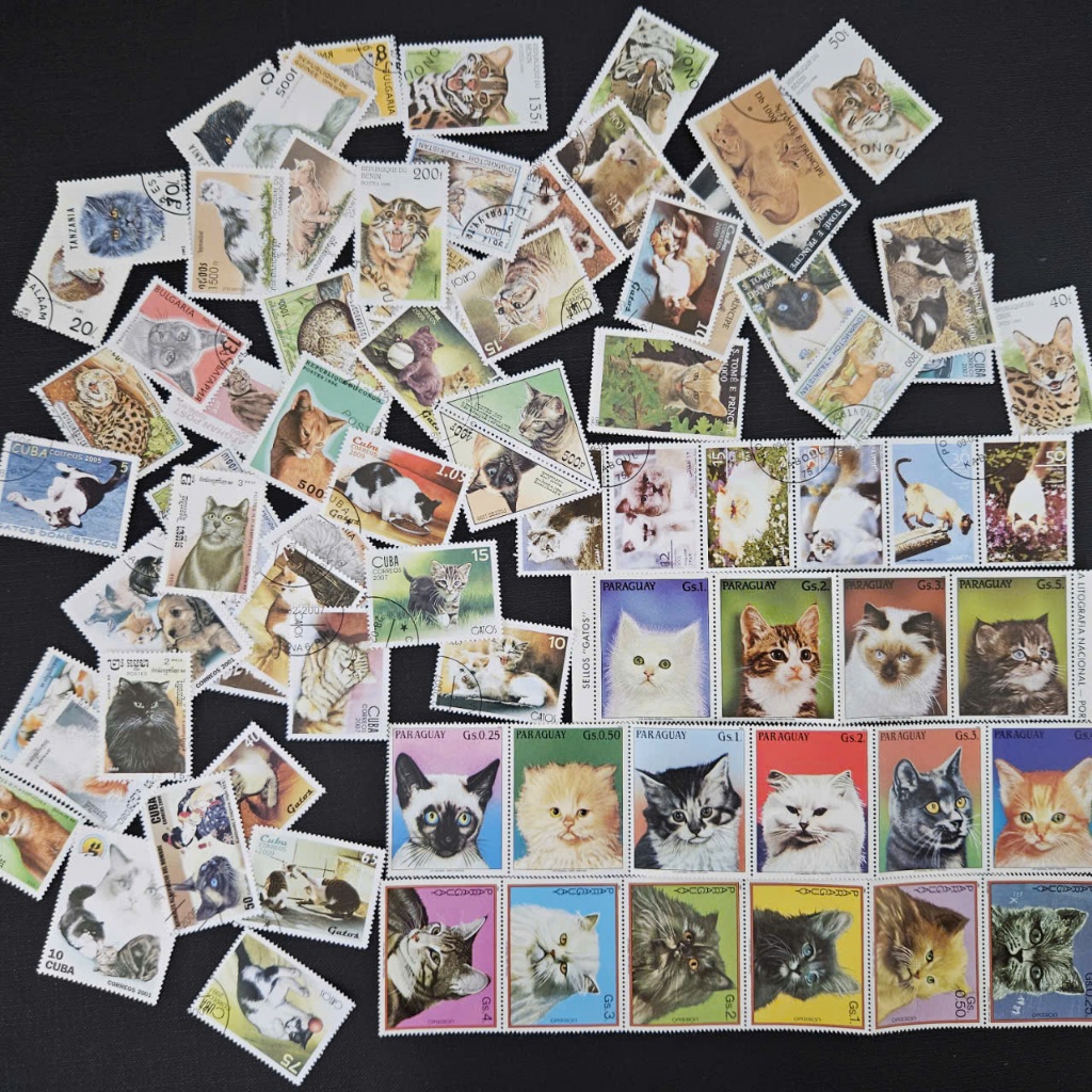 Combo Of 100 Stamps Of Cat Family, Not Duplicated | Shopee Philippines