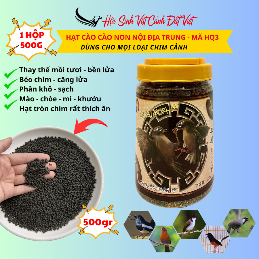 (500gr box) Young Locust Seeds code HQ3 - for all breeds of ornamental ...