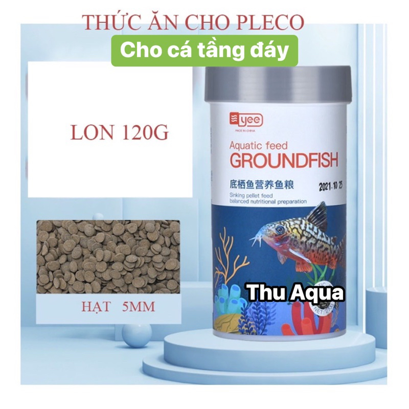 Specialized Food For PLECO Fish - Mouse Fish - Bottom Layer Fish ...