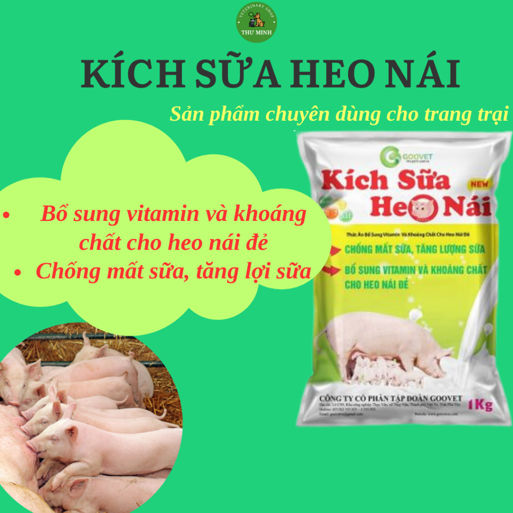 PIG MILK STIMULANT SlingshotI Goovet increases breast pig milk, healthy ...