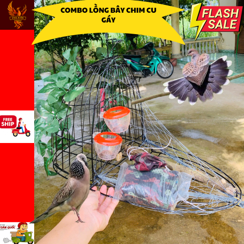 Cuckoo trap cage with all accessories at cheap price | Shopee Philippines
