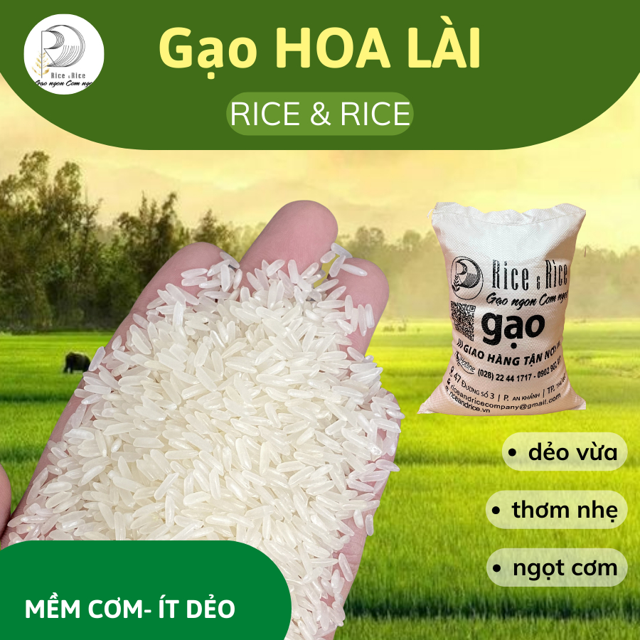 Premium Jasmine Fragrant Rice - Soft, sweet, fragrant rice. Slim clear ...