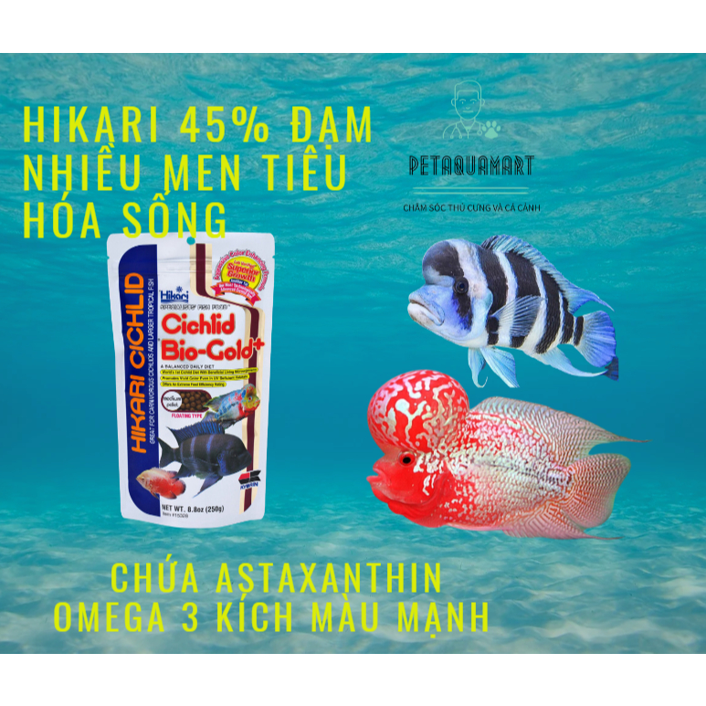 Hikari coloring food for Arhat fish and cichlid fish BIO-GOLD PLUS MINI ...