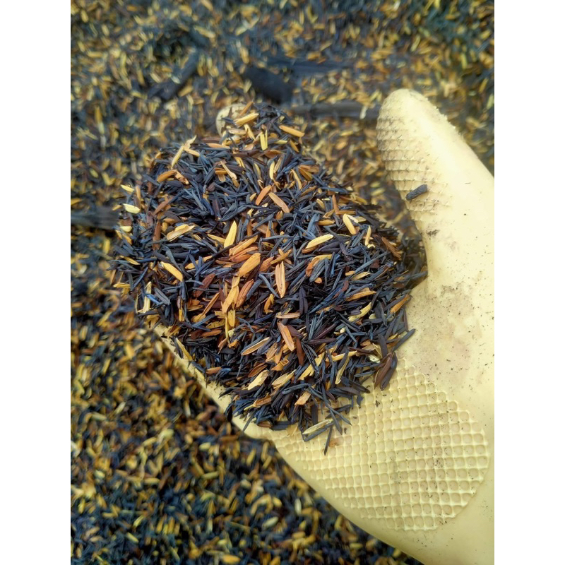 2kg Half-smoked rice husk - Super good growing medium | Shopee Philippines