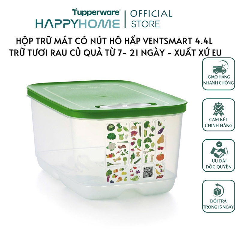 Ventsmart 4.4L Cool Storage Box with Respiratory Button for Fresh ...