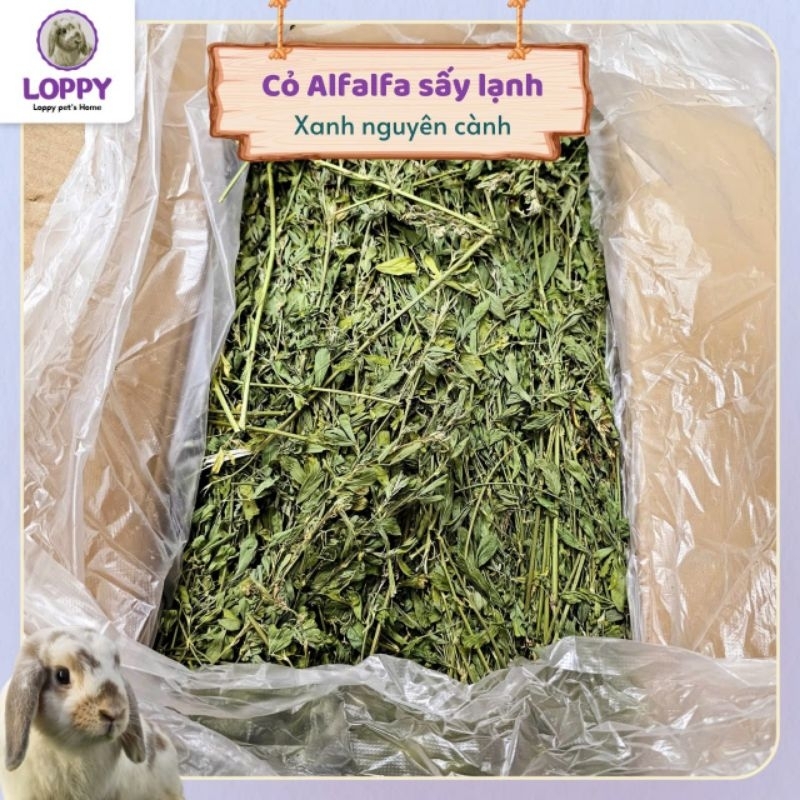 Freeze Dried Alfalfa Hay For Senior Rabbits And Gout preview