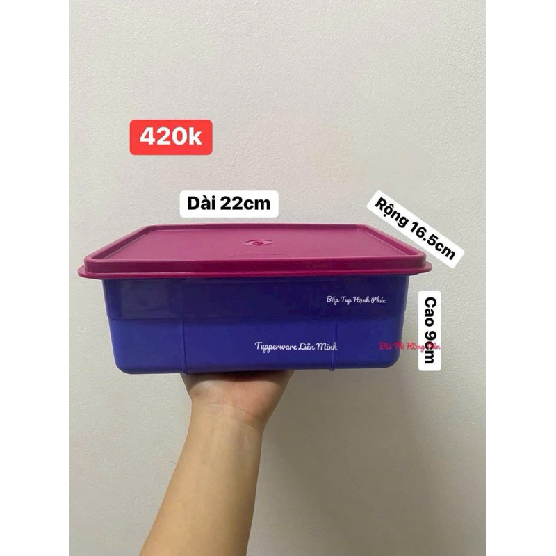 Tupperware dry box divided into compartments; scientifically designed ...