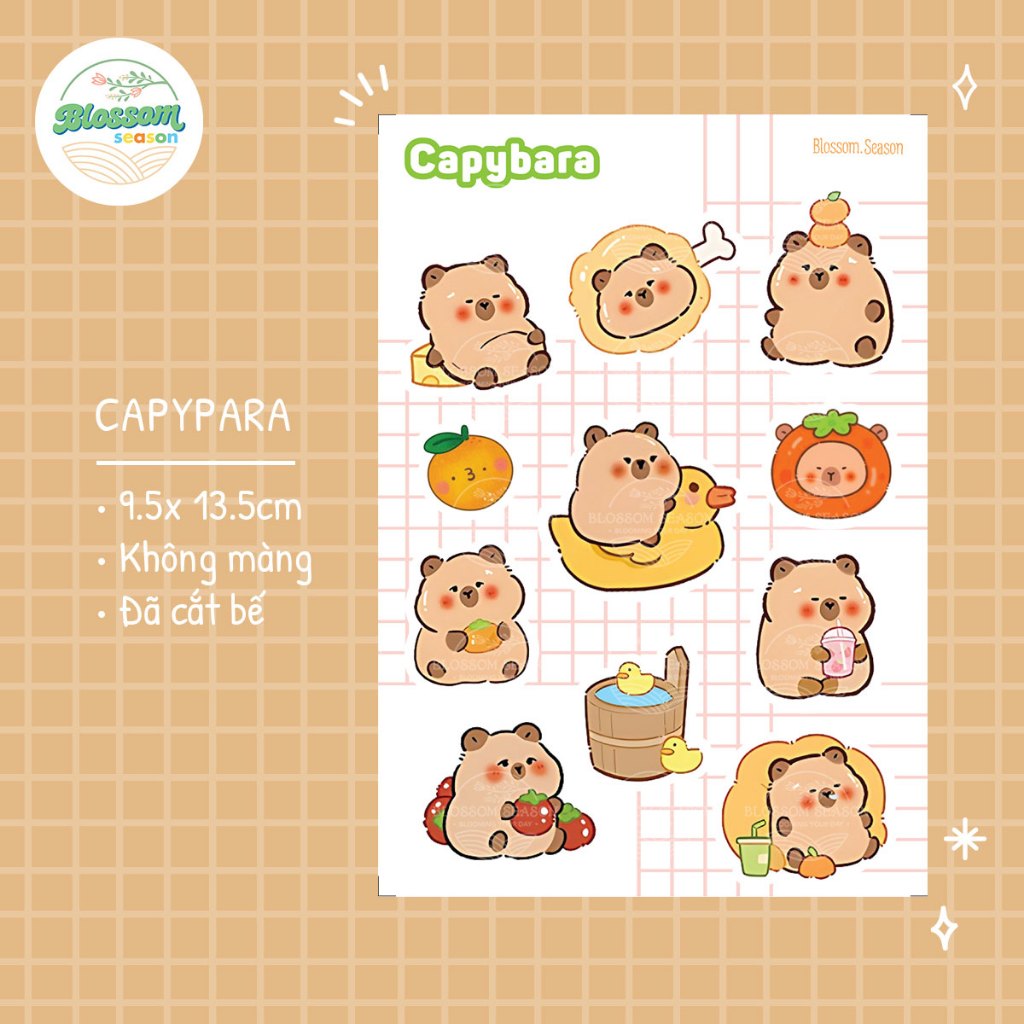 [STICKER] - Capybara SS02 STICKER | Blossom Season | Shopee Philippines