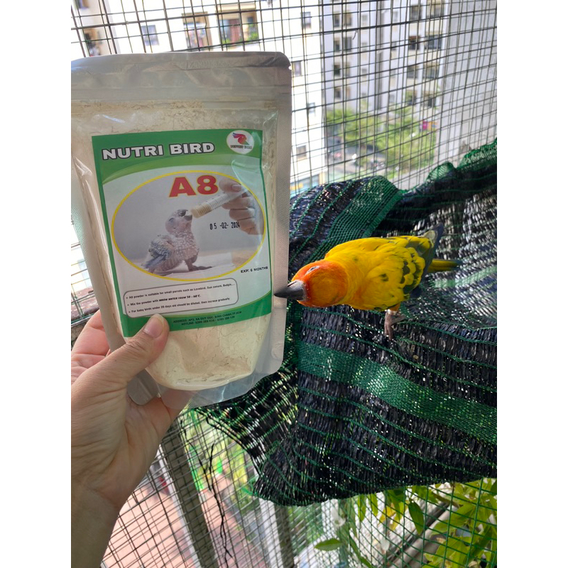 A8 powder for young parrots -350g | Shopee Philippines