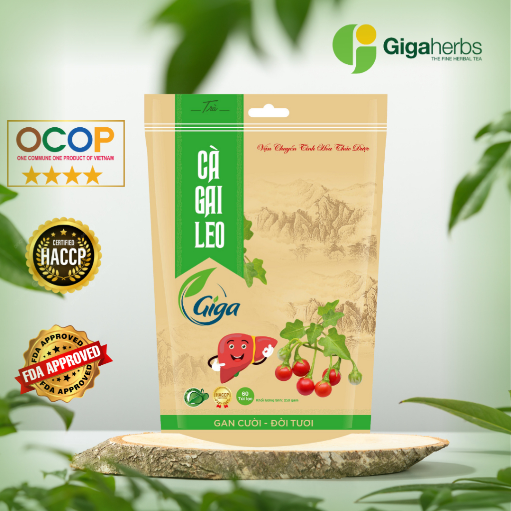 Leo Giga Solanum Tea 1KG - 240 Filter Bags Helps Nourish the Liver ...