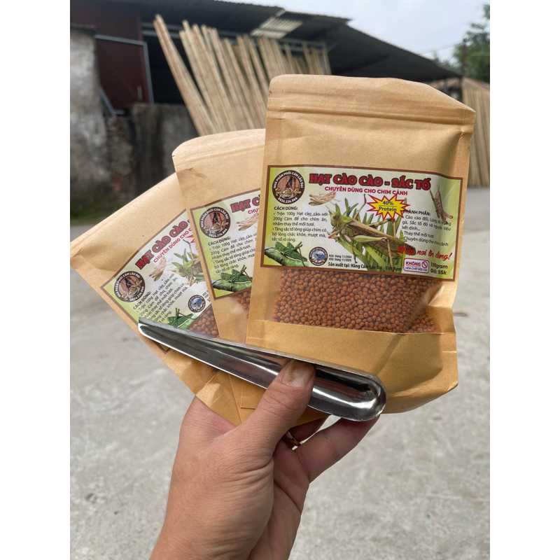 Lao Dai pigment locust seeds, 100g pack, genuine premium crested bird ...