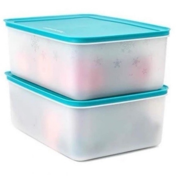 Tupperware FLEXIBLE FREEZER STORAGE BOX SET BIG SIZE 5,7L | Shopee ...