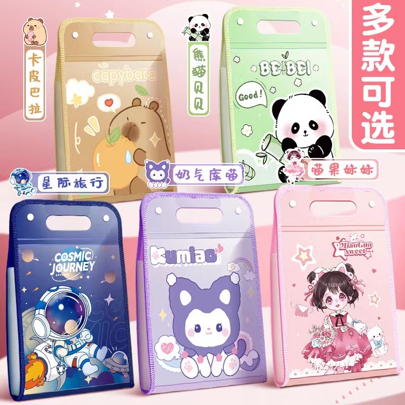 A4 Document Bag, A4 Size File Bag Made of Plastic with 12 Compartments ...