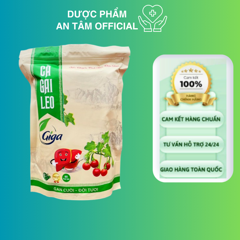 Leo Giga Solanum Tea 1KG - 240 Filter Bags Helps Nourish the Liver ...