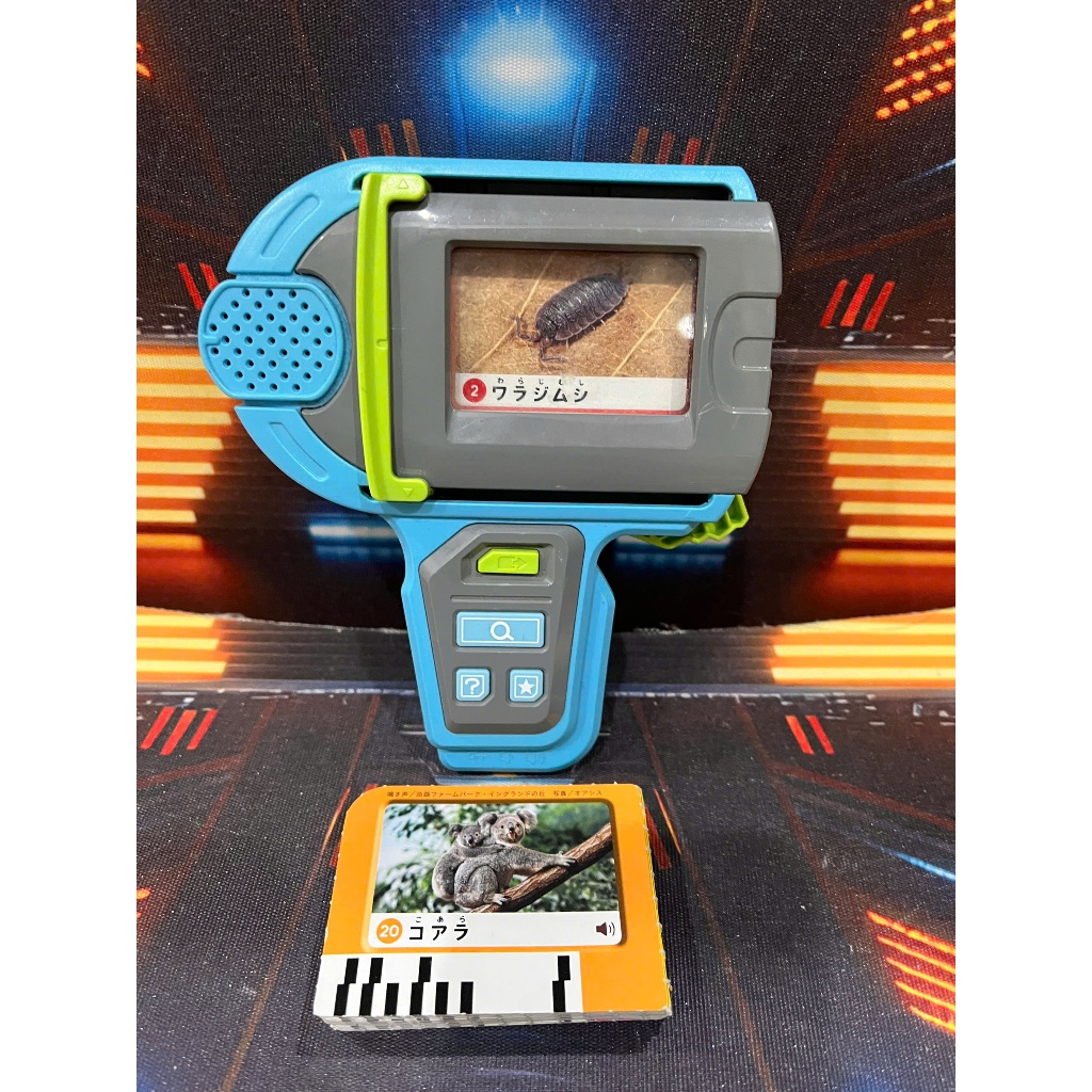 Genuine Japanese Animal Theme Card Reader for Children - 29 Cards ...