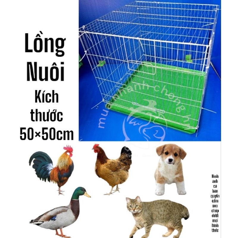 Bird cages, bamboo chickens, budgies, dogs, cats, rabbits, original ...