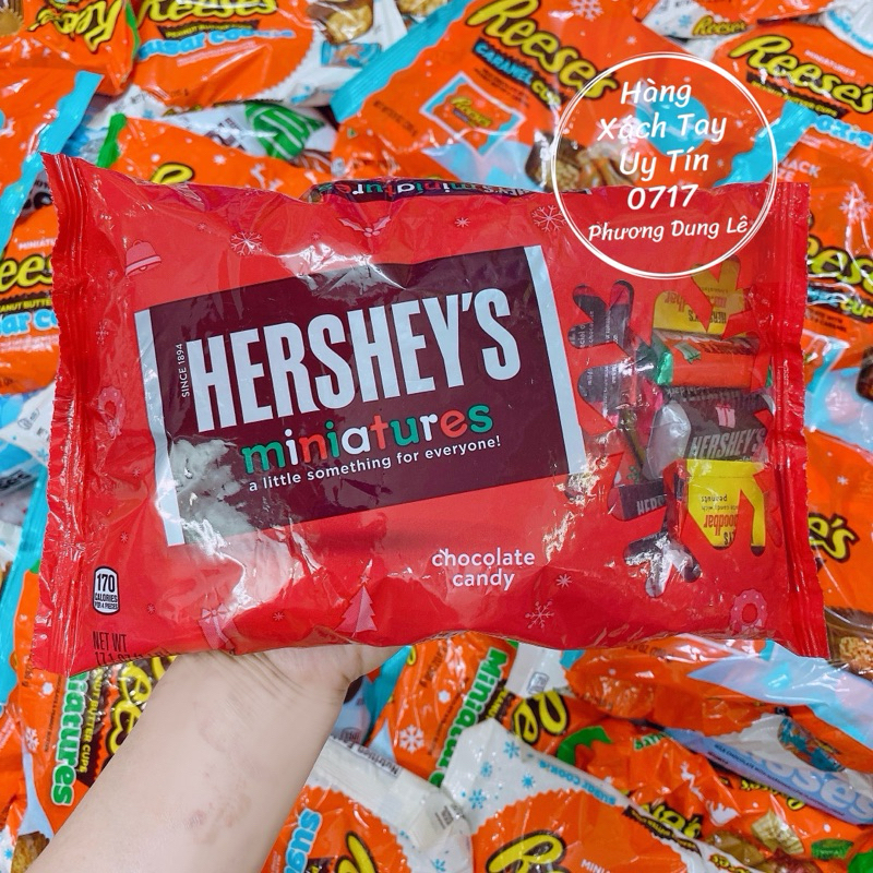 Bag of 484g mixed chocolate milk chocolate candy Hershey's Miniatures ...