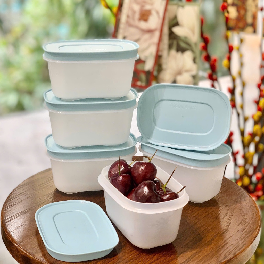 Tupperware Mini Freezermate Gen II Freezer Set 170ML Random Color ...