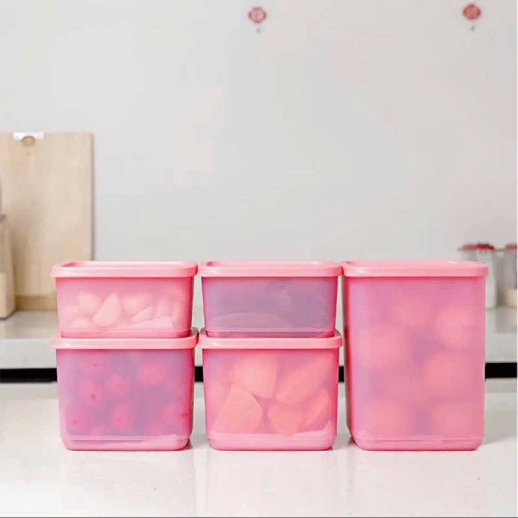 SET OF 5 TUPPERWARE BOXES FOR COOL COMPARTMENTS AND DRY GOODS - FRESH ...