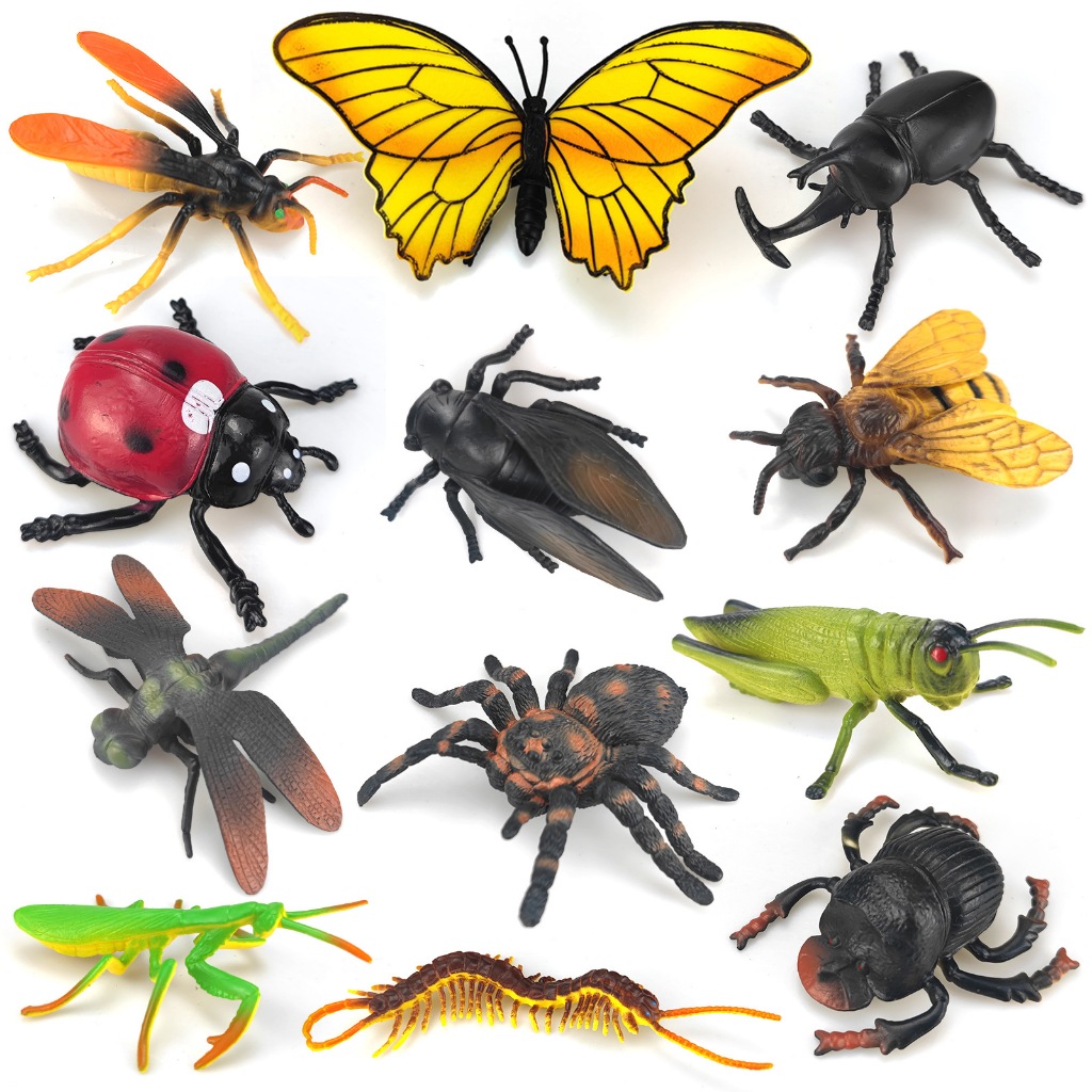 Plastic Insect Model - Educational Toys for Boys and Girls - Select ...