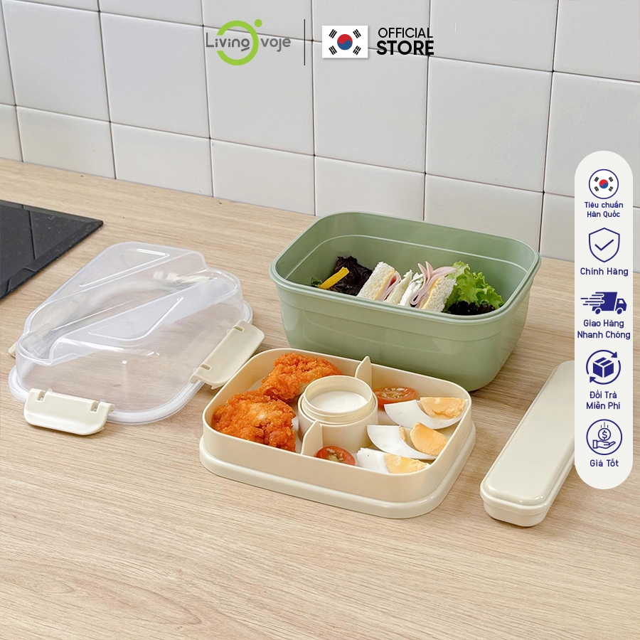 LivingOn Salad Box, Safe PP Plastic 2-Layer Divided Lunch Box, Spill ...