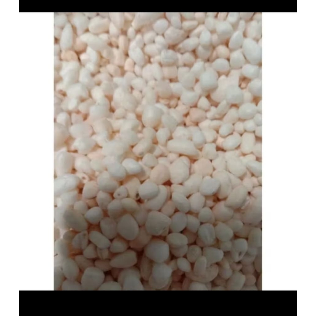 White sticky rice popcorn | Shopee Philippines
