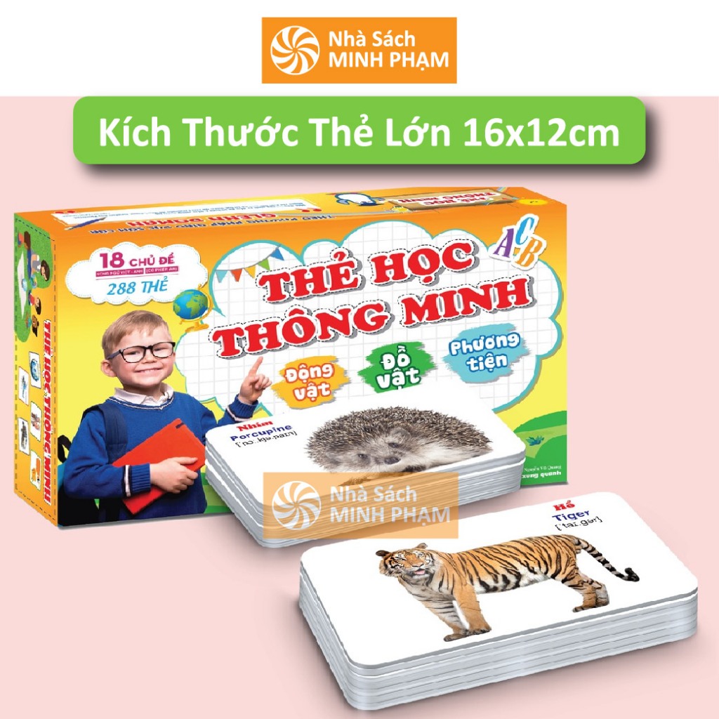 Large Size FlashCards Smart Learning Card Set (18 Topics - 288 cards ...