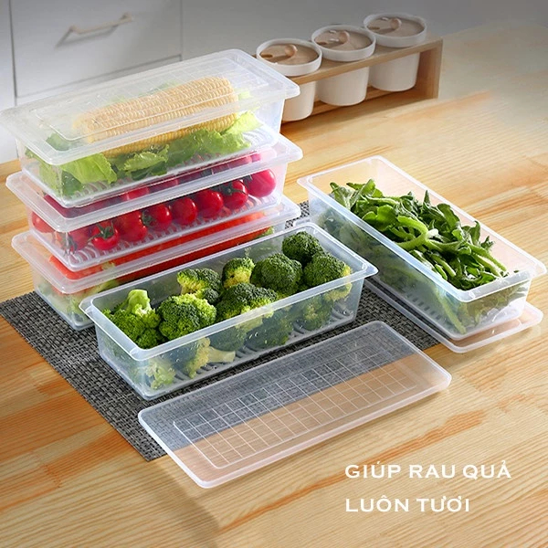 Multi-purpose food containers, diverse designs - High quality plastic ...