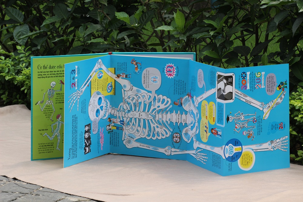 Interactive book - Big book - Giant book - Many optional topics - DT ...