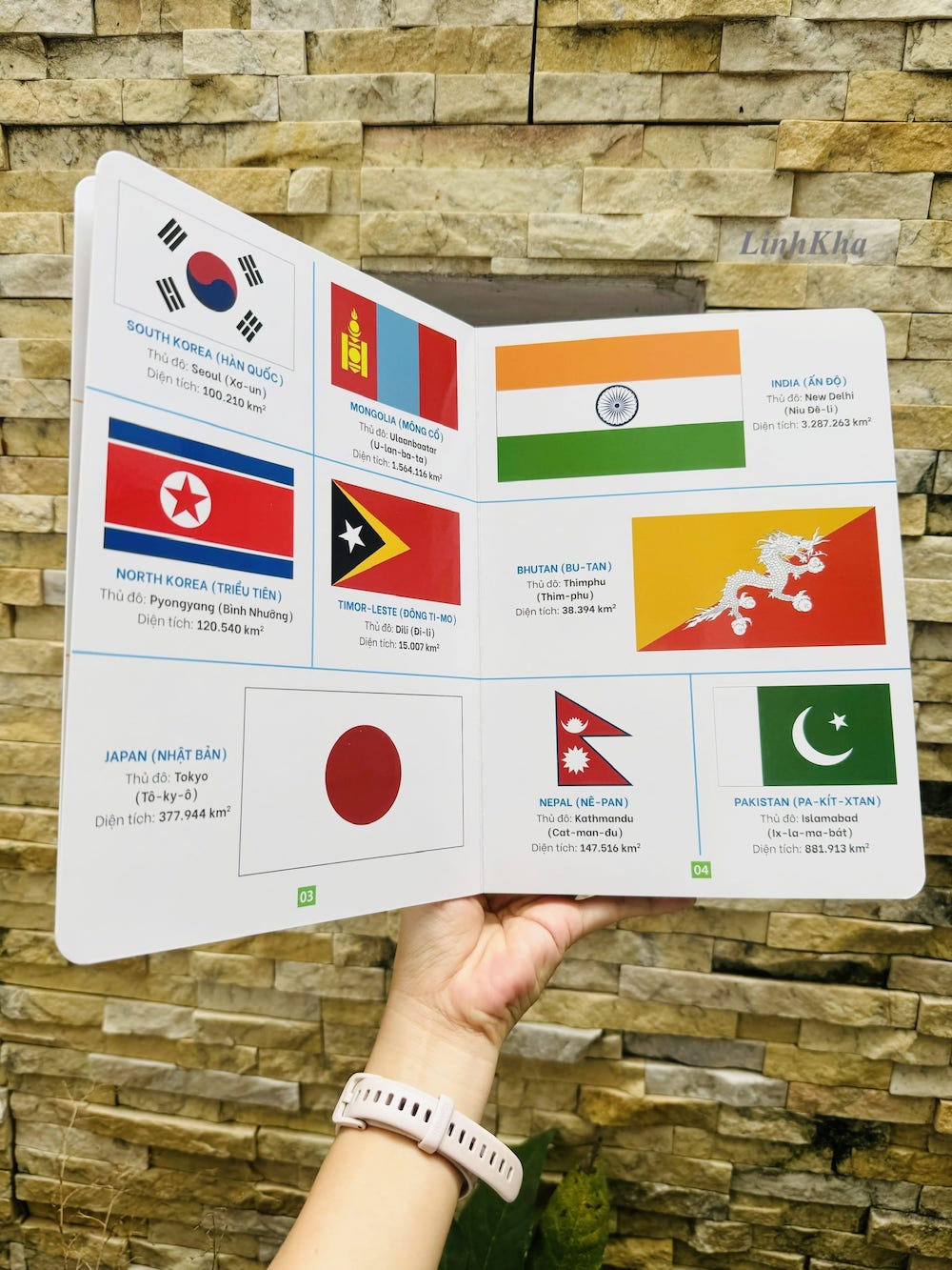 Picture Dictionary of Flags of Countries Around the World - Cover and ...