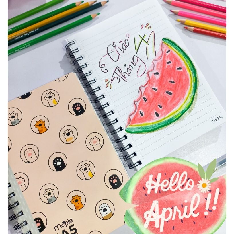 XO Horizontal spring notebook 200 pages A5 Mc.ple 3442 / 3343 - Maple ...
