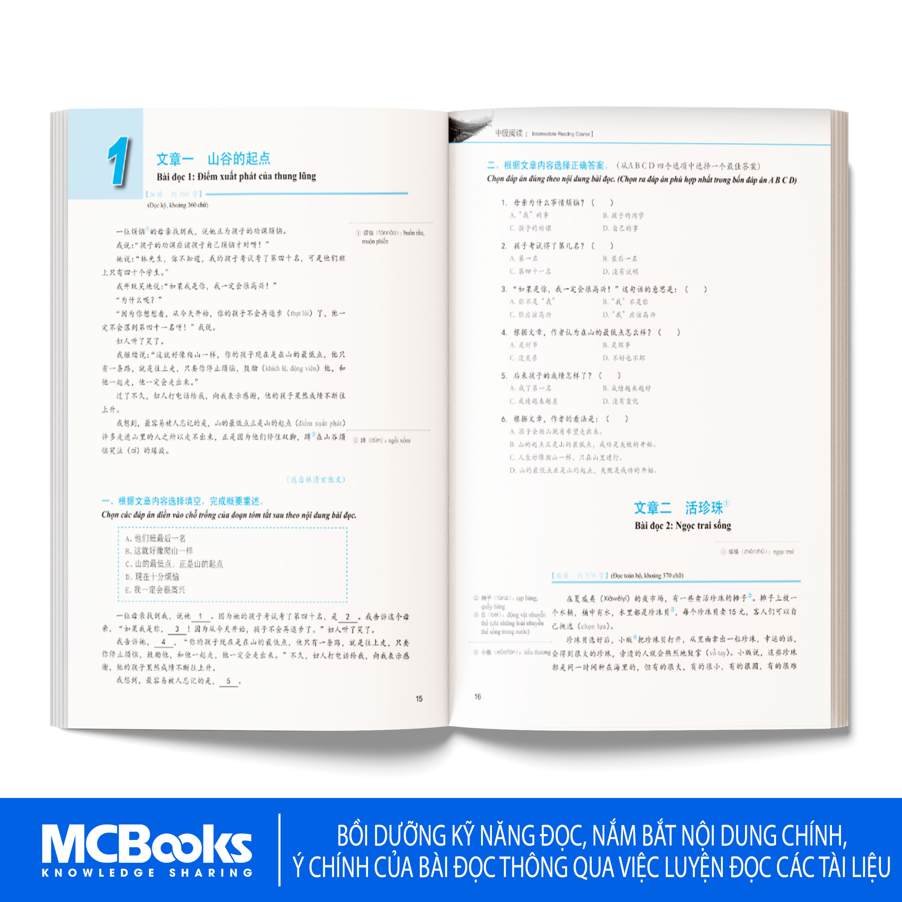 TRI Books - Intermediate Reading Chinese Development Textbook 1 [New ...