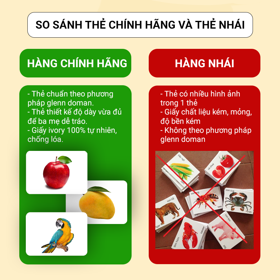 TNBOOKS Smart Learning Card Set for Children - World Around Flashcard ...