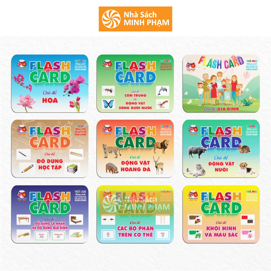 Large Size FlashCards Smart Learning Card Set (18 Topics - 288 cards ...